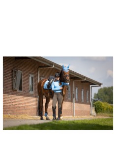 BR Event Ohrenhaube - All...