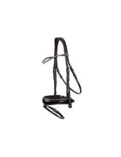 BR Bridle Bristol