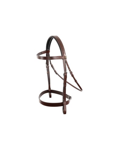 BR Hunter Bridle Kempston