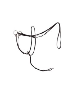 BR thiedemann teugel Lancaster