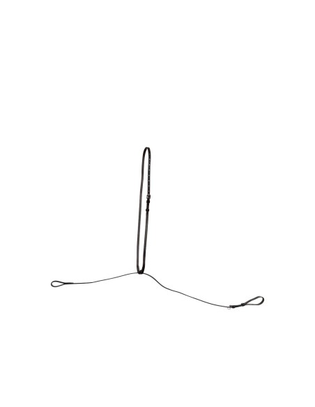 BR Standing Martingale Hinckly
