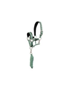 BR Mini Horse Halter with Lead Rope 2