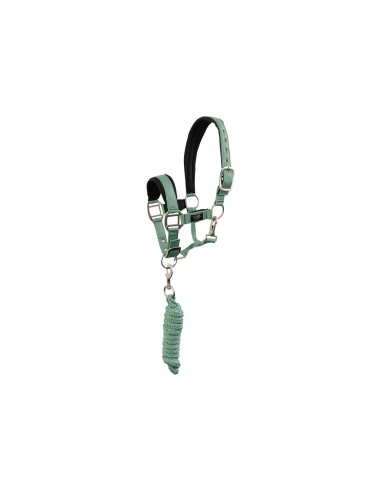 Licol avec longe BR Mini Horse