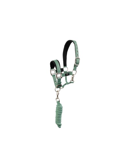 Licol avec longe BR Mini Horse