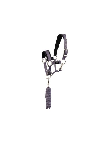 Licol avec longe BR Mini Horse