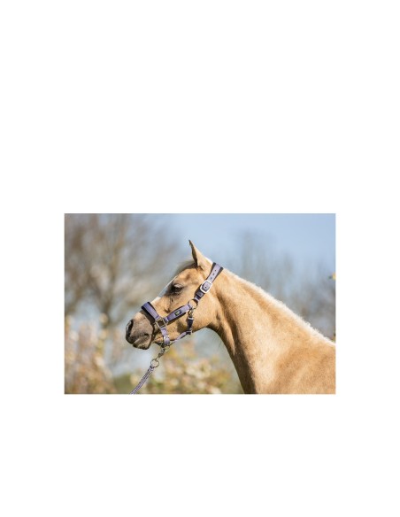 Licol avec longe BR Mini Horse