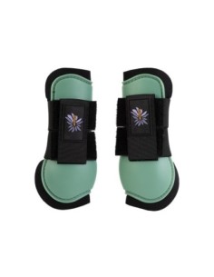 BR Mini Horse Tendon Boots 2