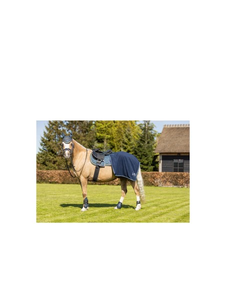 Protège-tendons BR Mini Horse