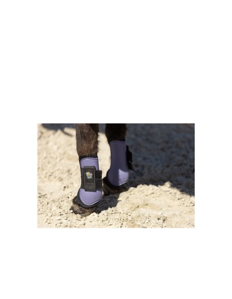 BR Mini Horse Sehnenschoner