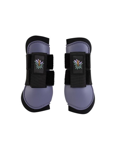 BR Mini Horse Tendon Boots