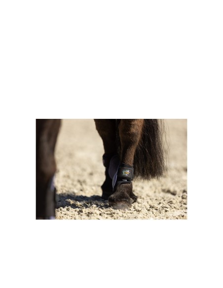 BR Mini Horse strijklappen