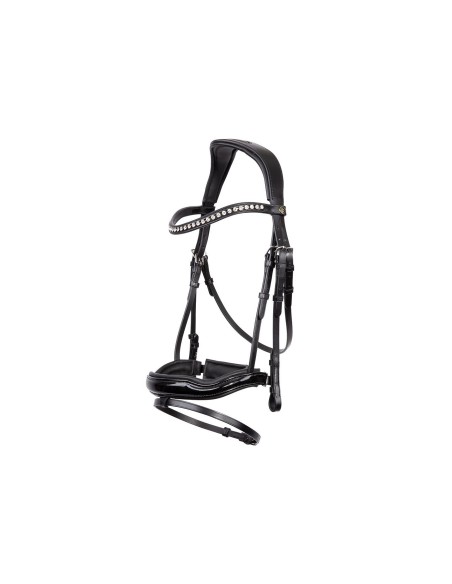 BR Bridle Bolton