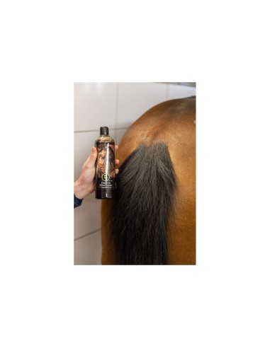 Shampooing BR Derma 500 ml