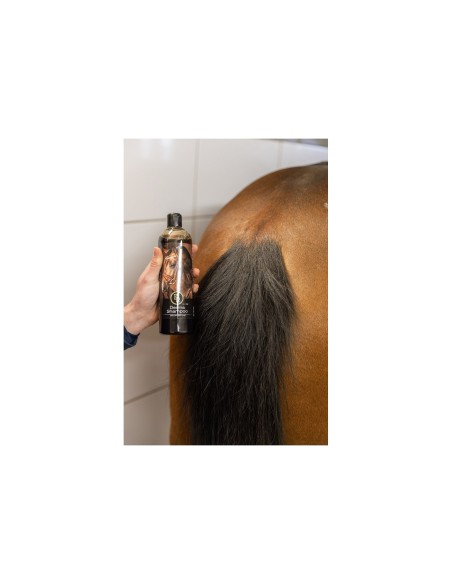 BR Derma Shampoo 500ml