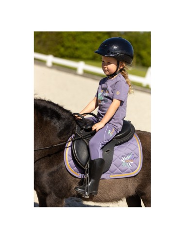 BR Mini Horse zadeldek