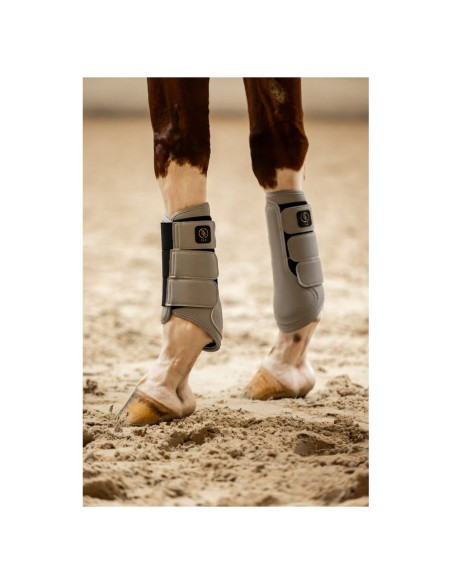 BR CLX Majestic beenbeschermers
