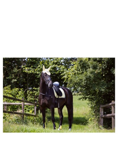 Protège-boulets BR Event non elastique