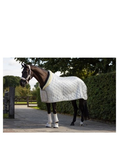 BR showdeken Zamora C-Wear