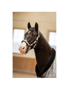 BR CLX halster - Chiseled...