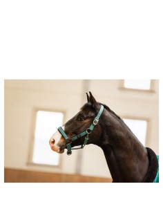 BR CLX halster - Sea Spine