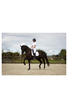 BR Turniershirt Monterrey... 2