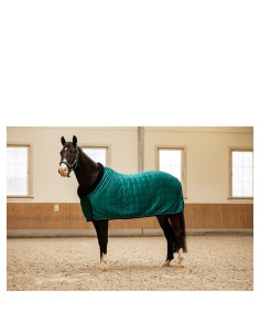 BR CLX Show Rug - Sea Spine