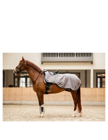 Couvre-reins BR CLX
