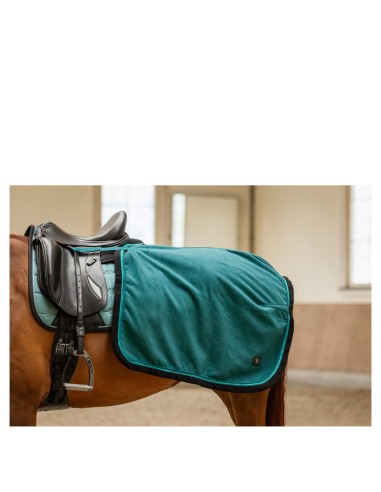 Couvre-Reins court BR CLX