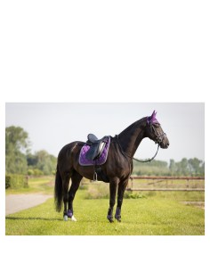 BR Event Saddle Pad Cooldry® Dressage