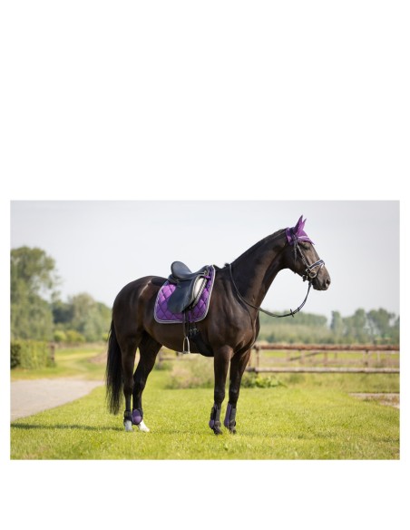 BR Event zadeldek Cooldry® dressuur