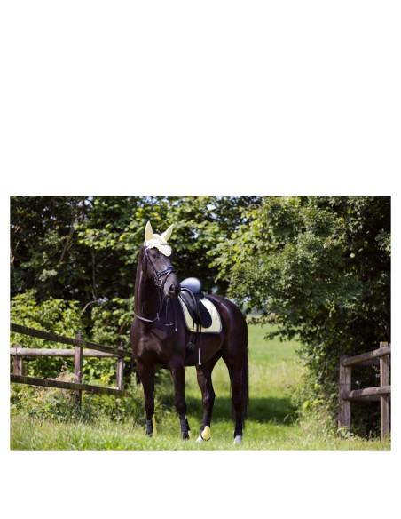 BR Event Saddle Pad Cooldry® Dressage