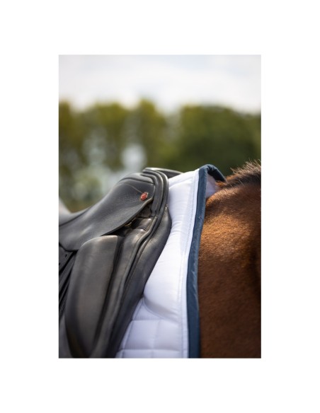 BR Saddle Pad C-wear Saltillo Dressage