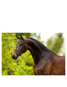 BR hoofdstel Southam -...