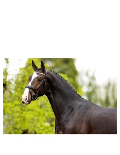 BR Bridle Windermere -...