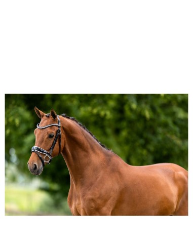 BR hoofdstel Ipswitch 