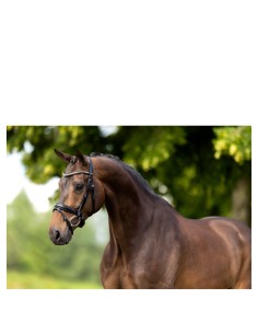 BR hoofdstel Oldham   -...