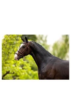 BR hoofdstel Bath - Oak/Zilver