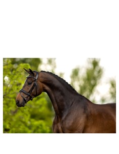 BR Trensenzaum Luton -...