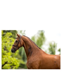 BR Bridle Luton - Oak/Silver