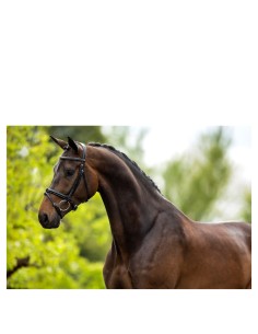 Bridon BR Kendal - Noir/Argent