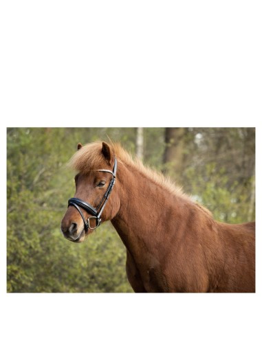 Bridon BR Barnet Icelandic