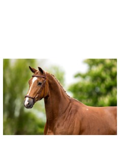 Bridon BR Thurnham -...