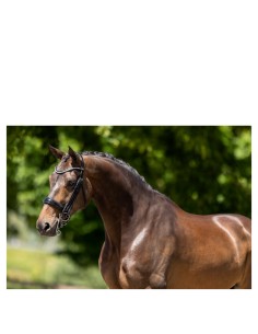 Bride BR Keswick - Noir/Argent