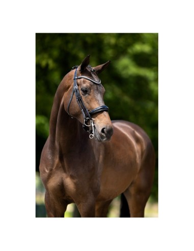 BR Weymouth Bridle Keswick