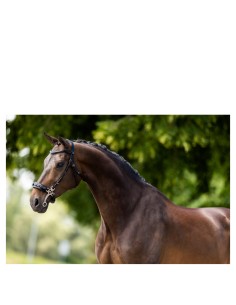 BR hoofdstel Lydney  -...