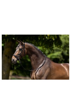 BR Bridle Lewes Side & Pull...