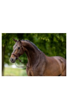 BR Bridle Lewes Side & Pull...