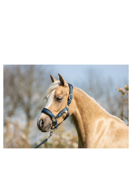 BR Mini Horse halster met touw