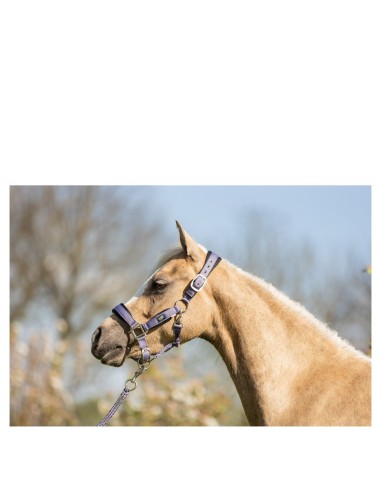 BR Mini Horse halster met touw