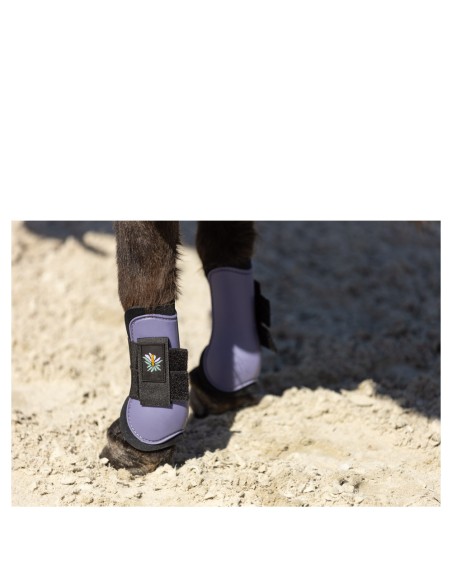 BR Mini Horse Sehnenschoner